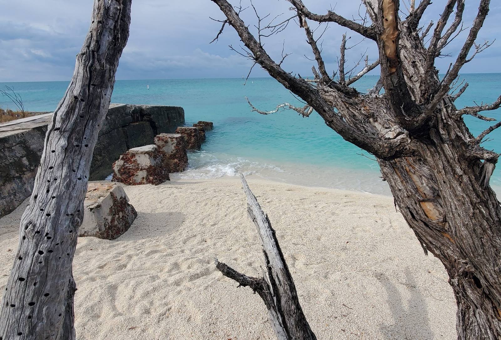 Dry Tortugas 2024, photo 8