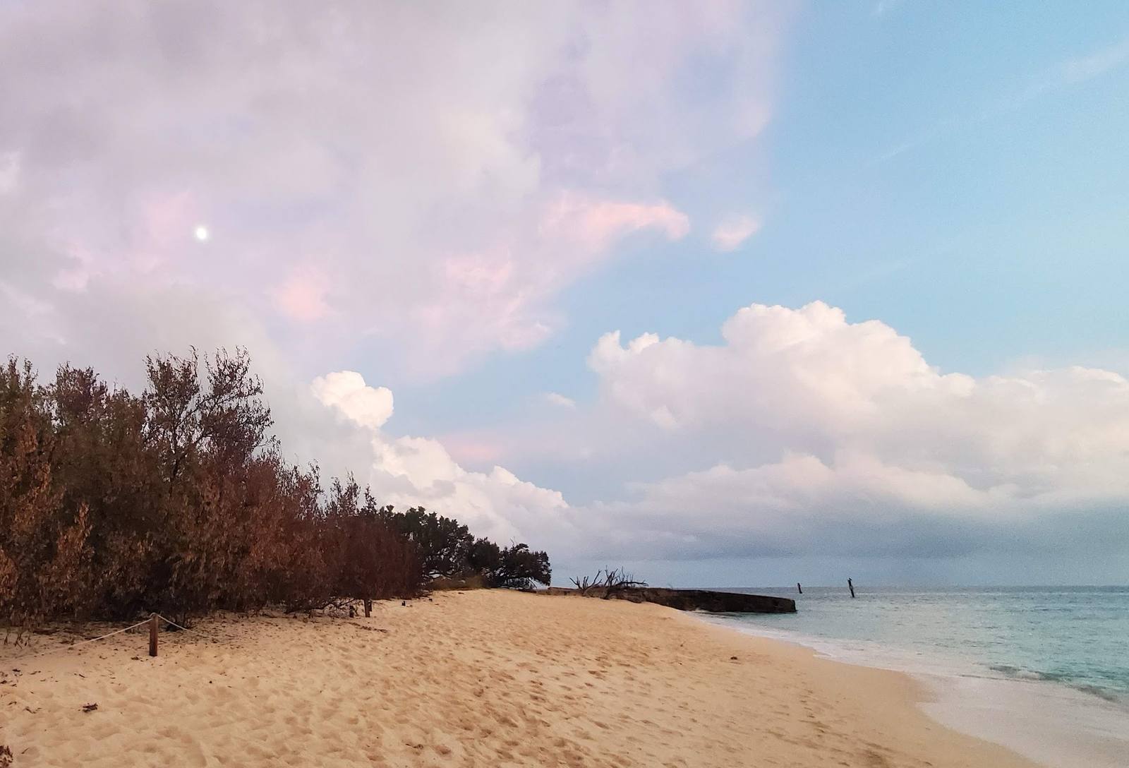 Dry Tortugas 2024, photo 9